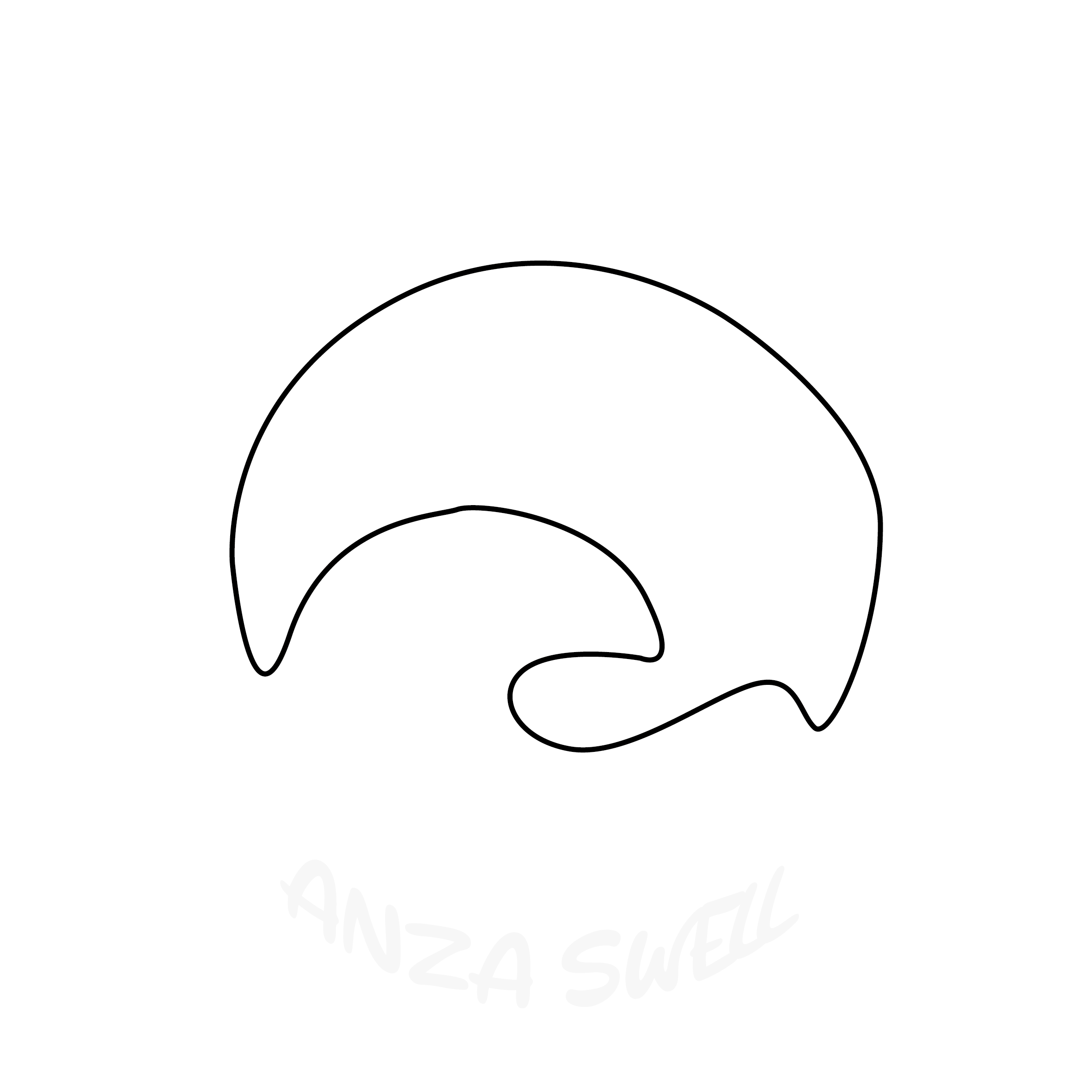 anzaswell surf school